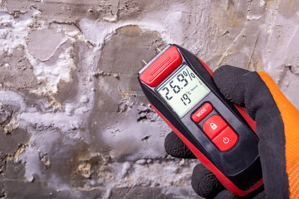 Best HVAC Mold Remediation in Sandoval, IL