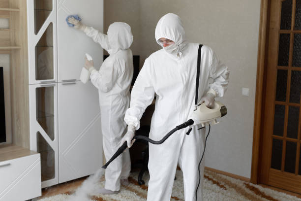 Best Post-Flood Mold Remediation in Sandoval, IL
